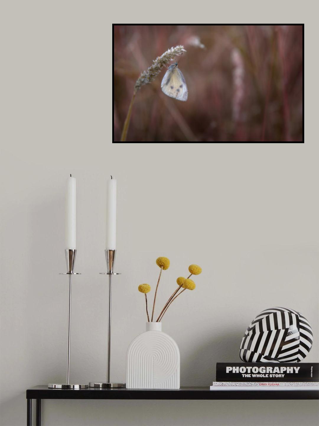 Butterfly## Poster och Canvastavla