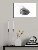 zeus faber gyotaku Poster och Canvastavla