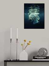 Flash Poster och Canvastavla