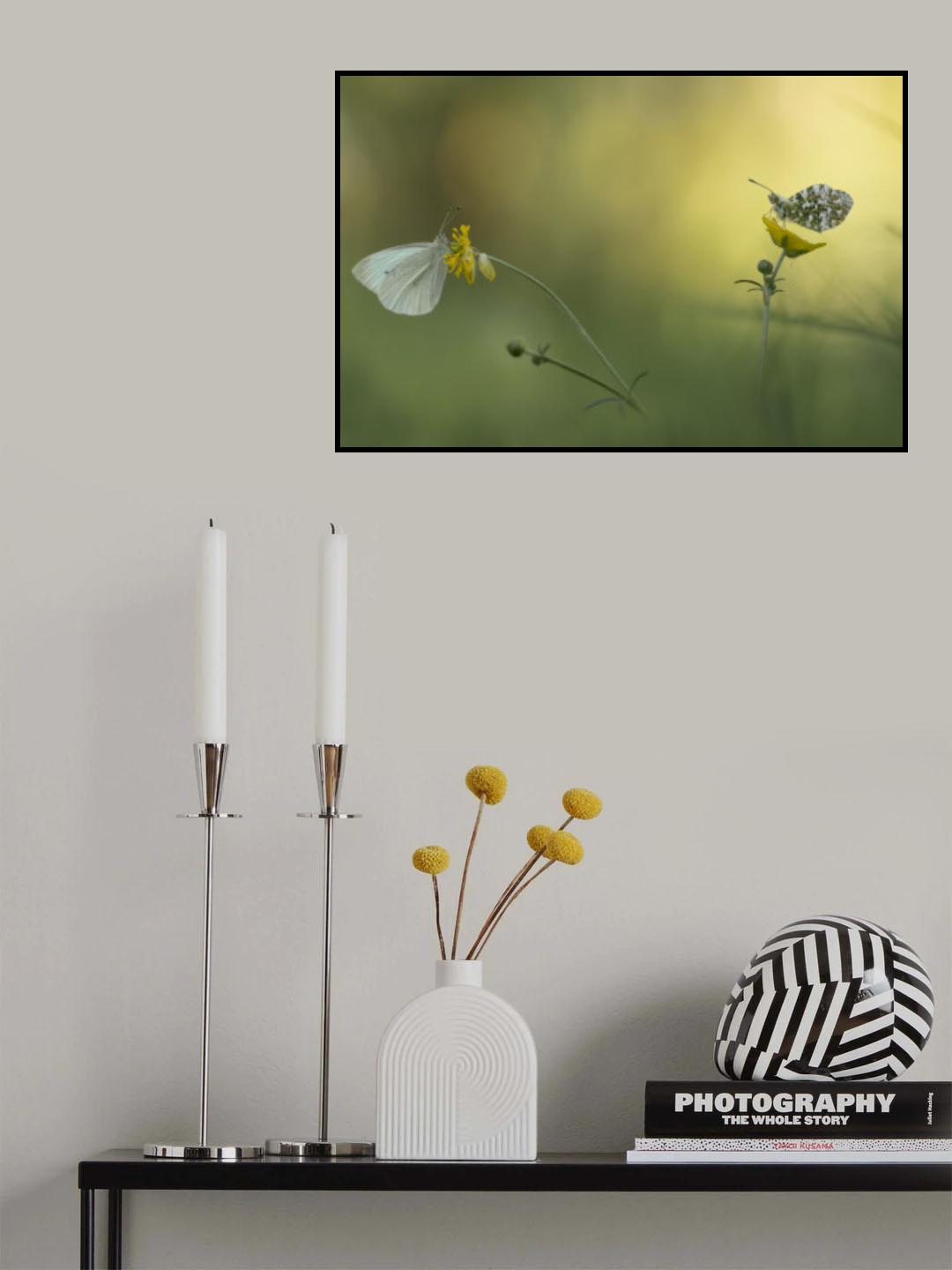 Forbidden love Poster och Canvastavla