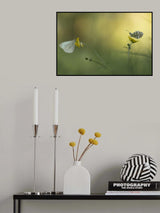 Forbidden love Poster och Canvastavla