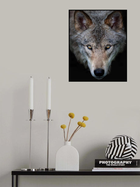 All the better to see you - Timber Wolf Poster och Canvastavla