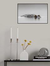 High Key Crocodile Poster och Canvastavla