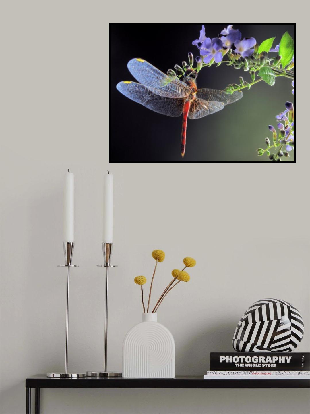 Dragonfly Poster och Canvastavla