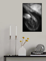 Birds on the Wire Poster och Canvastavla