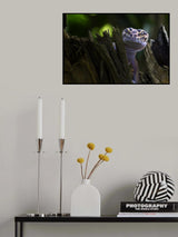 Cute Smile Poster och Canvastavla