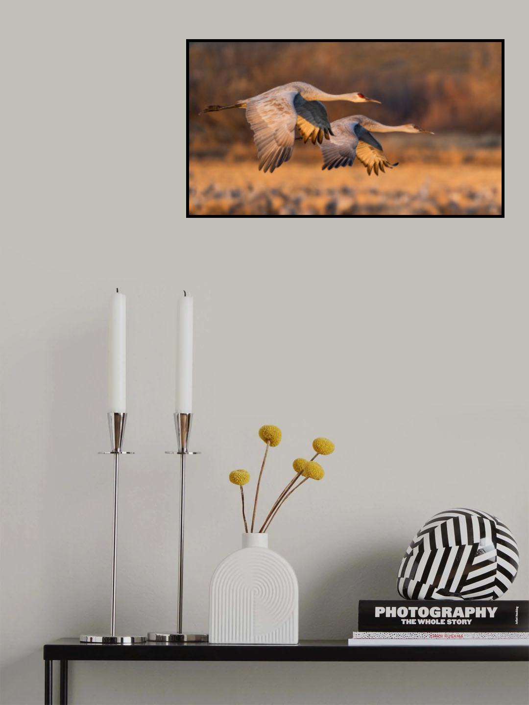 Love Birds Poster och Canvastavla