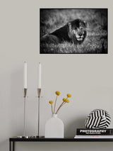 Rainy Poster och Canvastavla