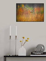 Common buzzard Poster och Canvastavla