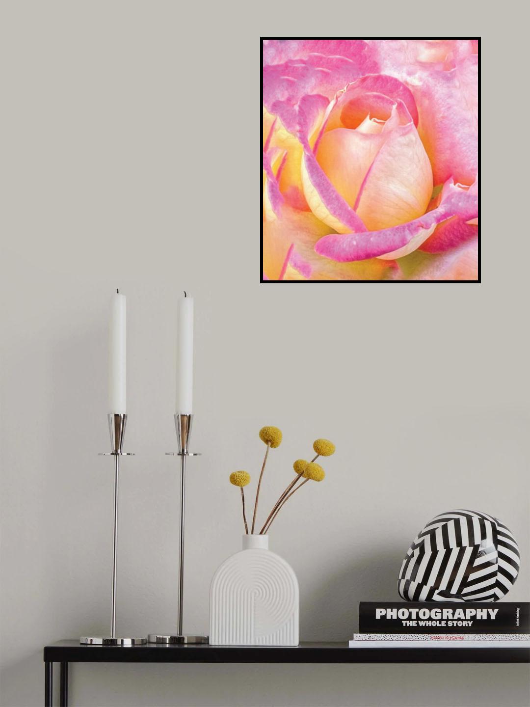 Rose City Rose Poster och Canvastavla