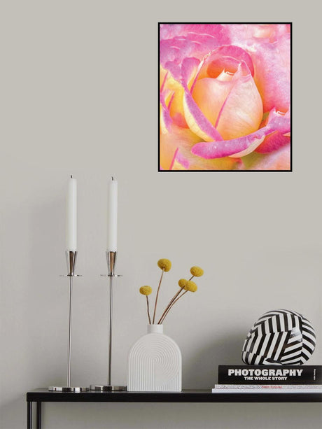 Rose City Rose Poster och Canvastavla
