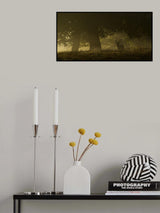 Magical sunrise Poster och Canvastavla