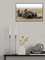 Sadness Poster och Canvastavla