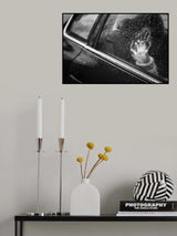 Cry for help Poster och Canvastavla