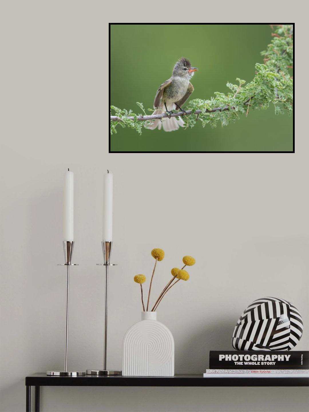 Small but loud Poster och Canvastavla