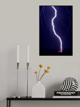 Ribbon lightning hits a tree Poster och Canvastavla