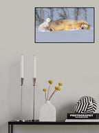 Mom, get up Poster och Canvastavla