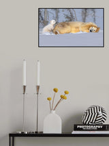 Mom, get up Poster och Canvastavla
