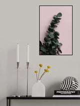 Eucalyptus Pink No02 Poster och Canvastavla