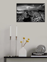 Born in smokes Poster och Canvastavla