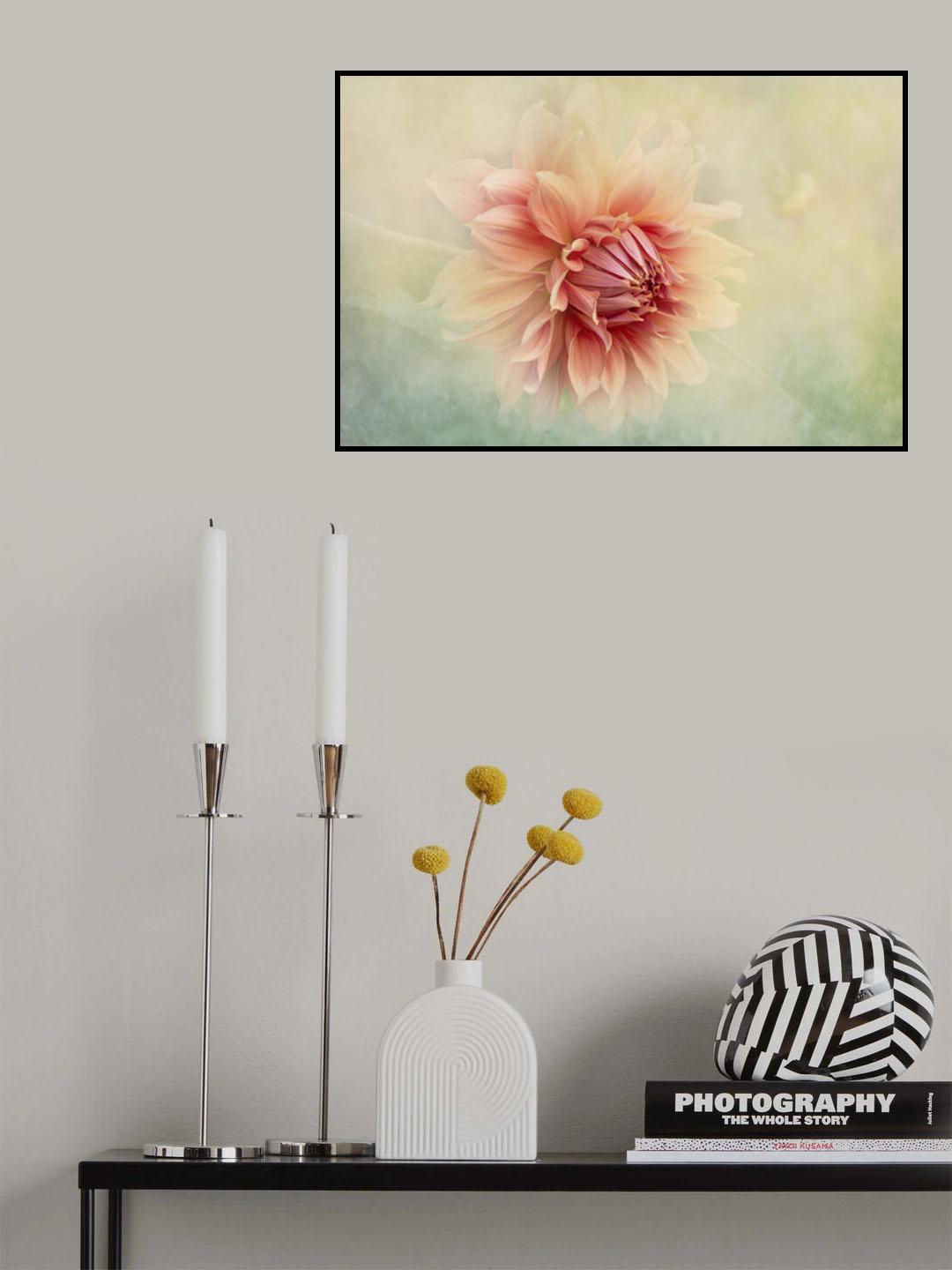 Dahlia Poster och Canvastavla