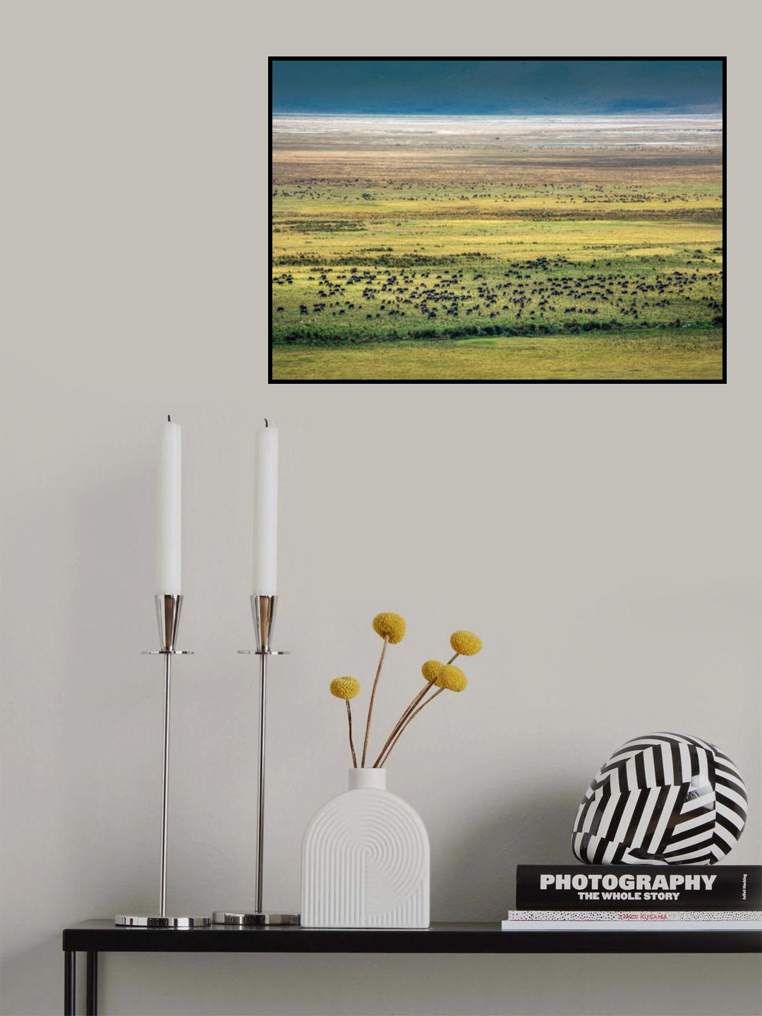 nature negrongro Poster och Canvastavla
