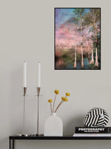 Everglades Poster och Canvastavla