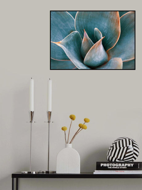 Agave Abstract in Spring Poster och Canvastavla