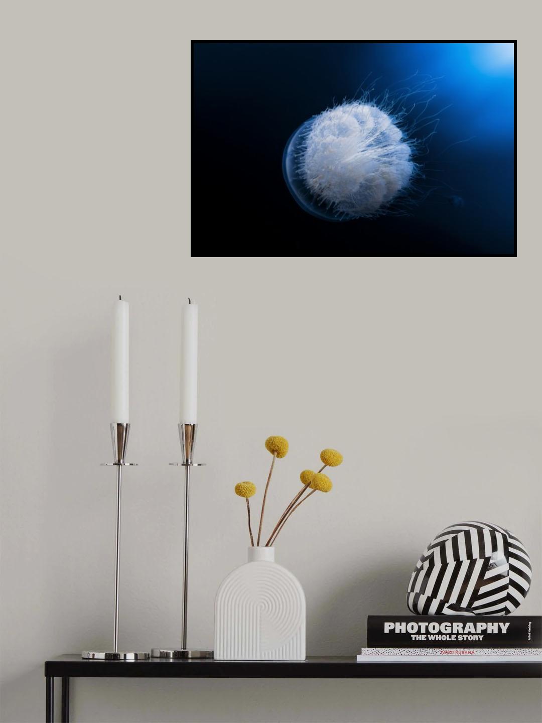 Jellyfish Poster och Canvastavla