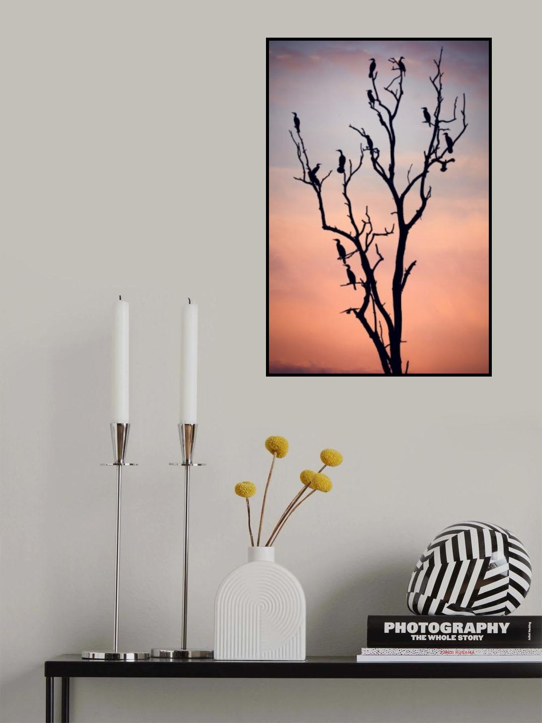Before the Sunset Poster och Canvastavla