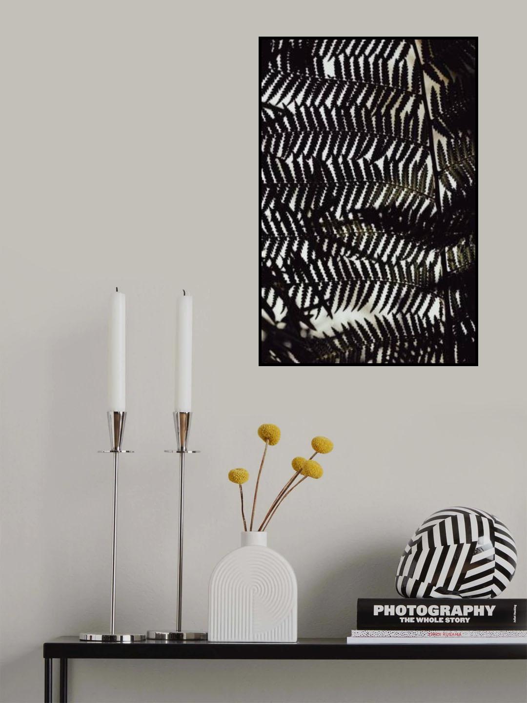 Fern Leaves_2 Poster och Canvastavla