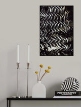 Fern Leaves_2 Poster och Canvastavla