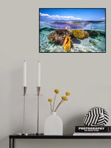 Lagoon life Poster och Canvastavla