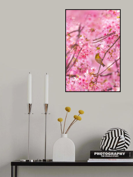 cherry blossoms and bird Poster och Canvastavla