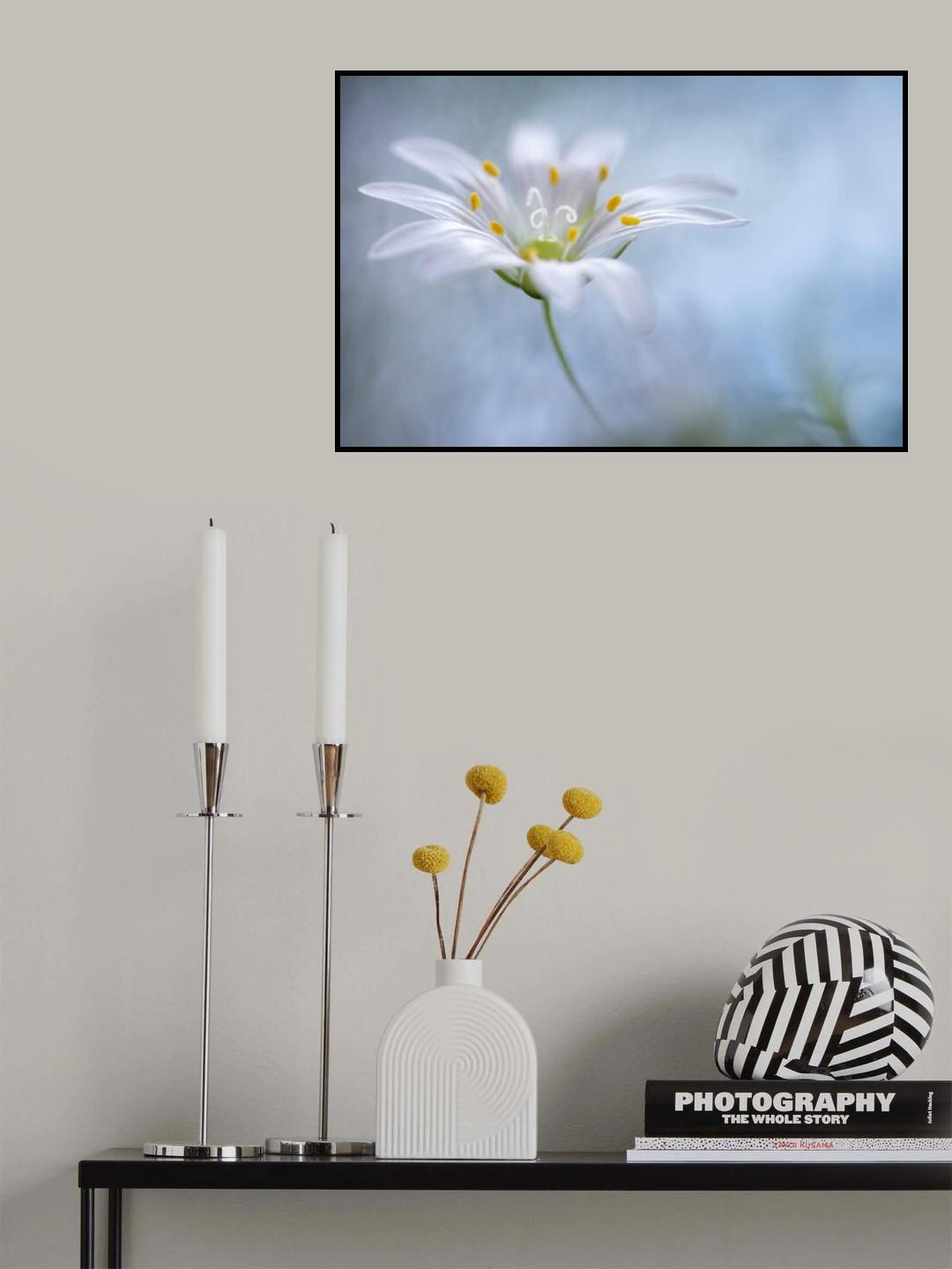 Greater Stitchwort Poster och Canvastavla