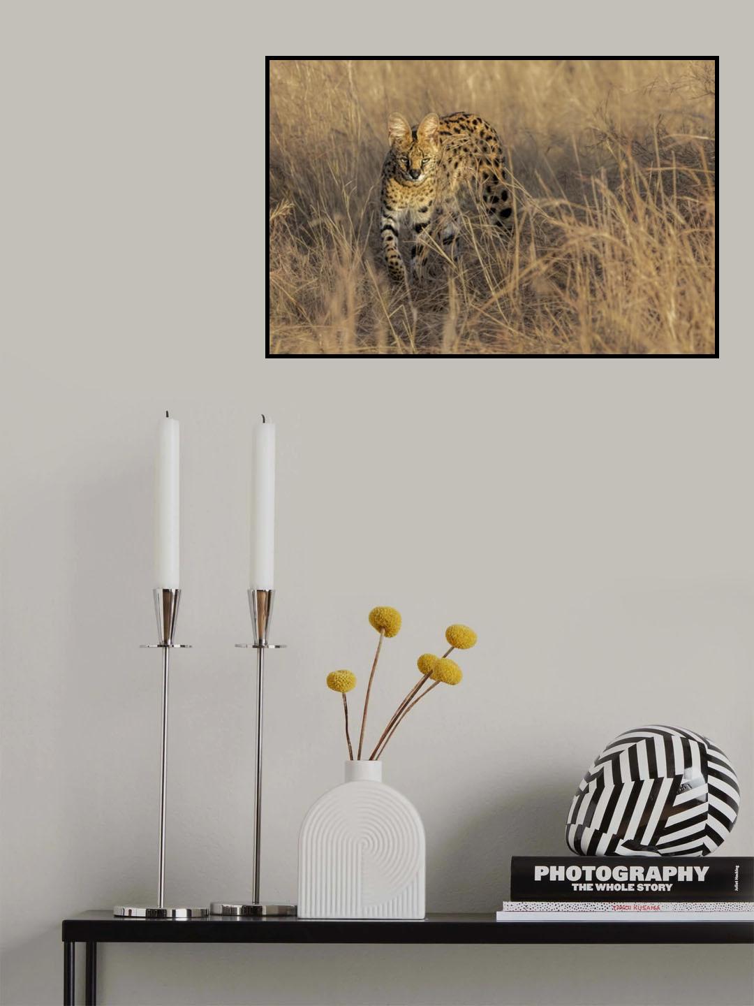 Hiding in The Grass Poster och Canvastavla