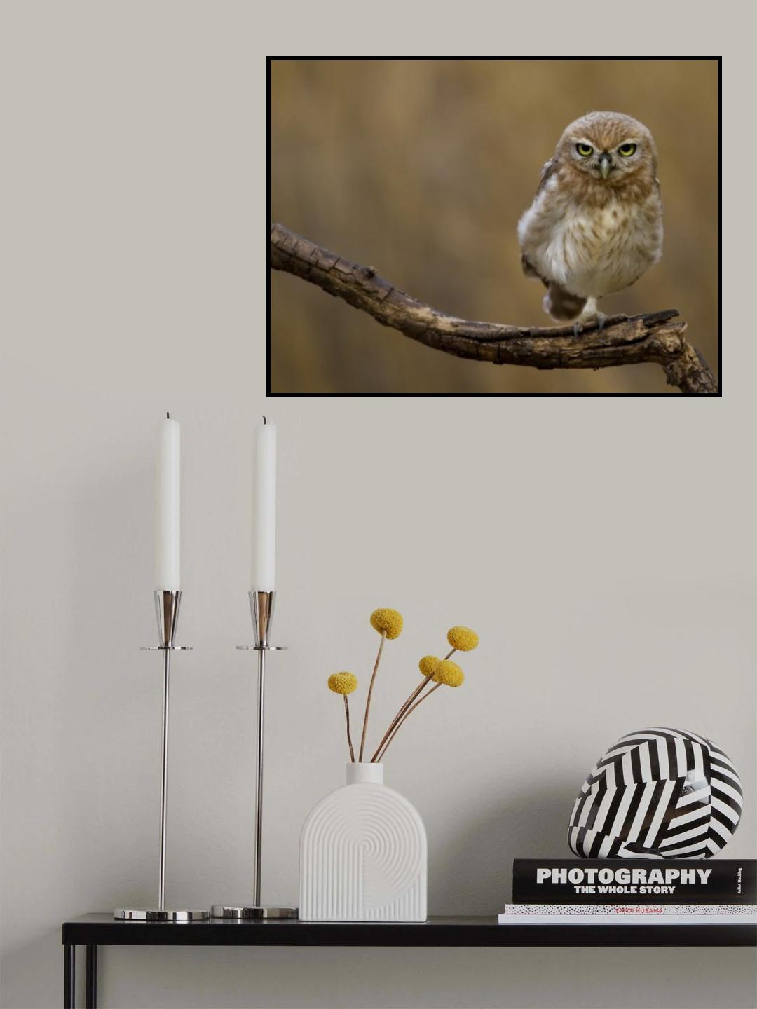 One foot Poster och Canvastavla