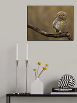 One foot Poster och Canvastavla