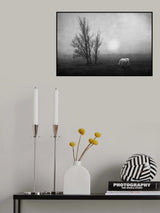 In the moor Poster och Canvastavla