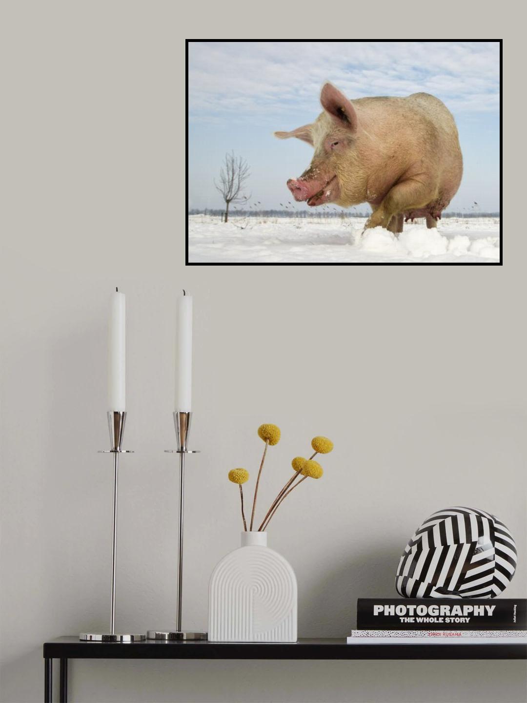 Keeping it cool Poster och Canvastavla