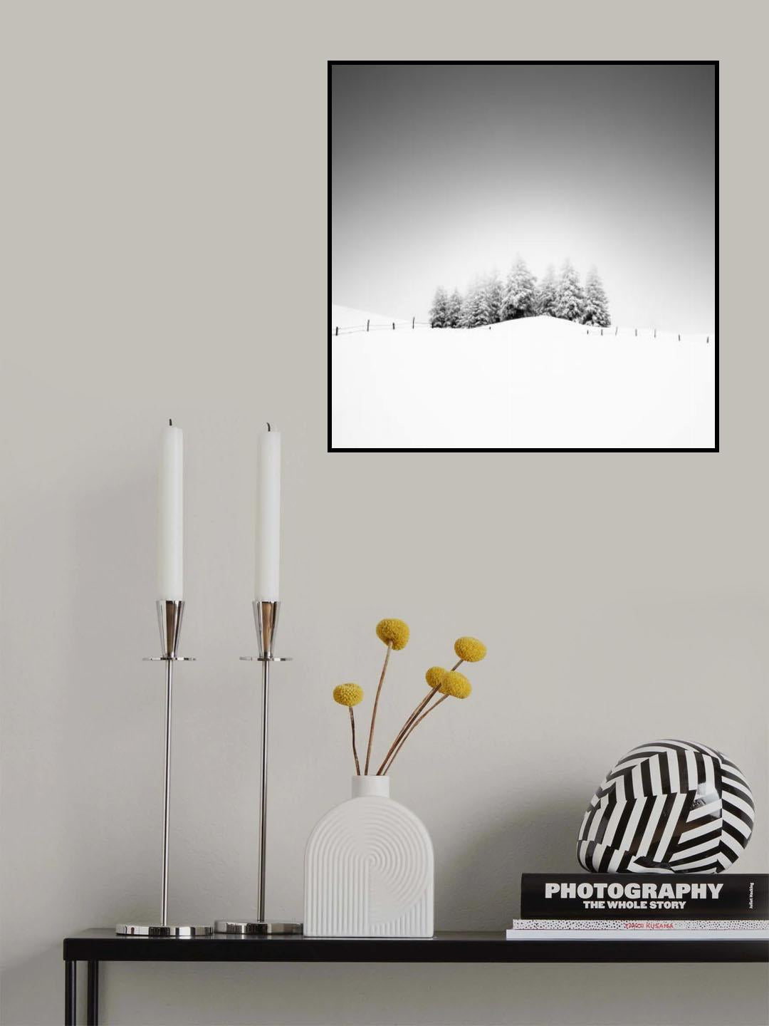 Cohesion Poster och Canvastavla
