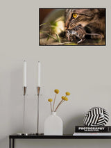 Tom with Jerry.  C'est la vie. Poster och Canvastavla
