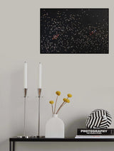 Birds on the boats Poster och Canvastavla