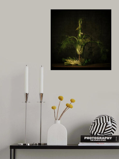 Still life Fennel Poster och Canvastavla
