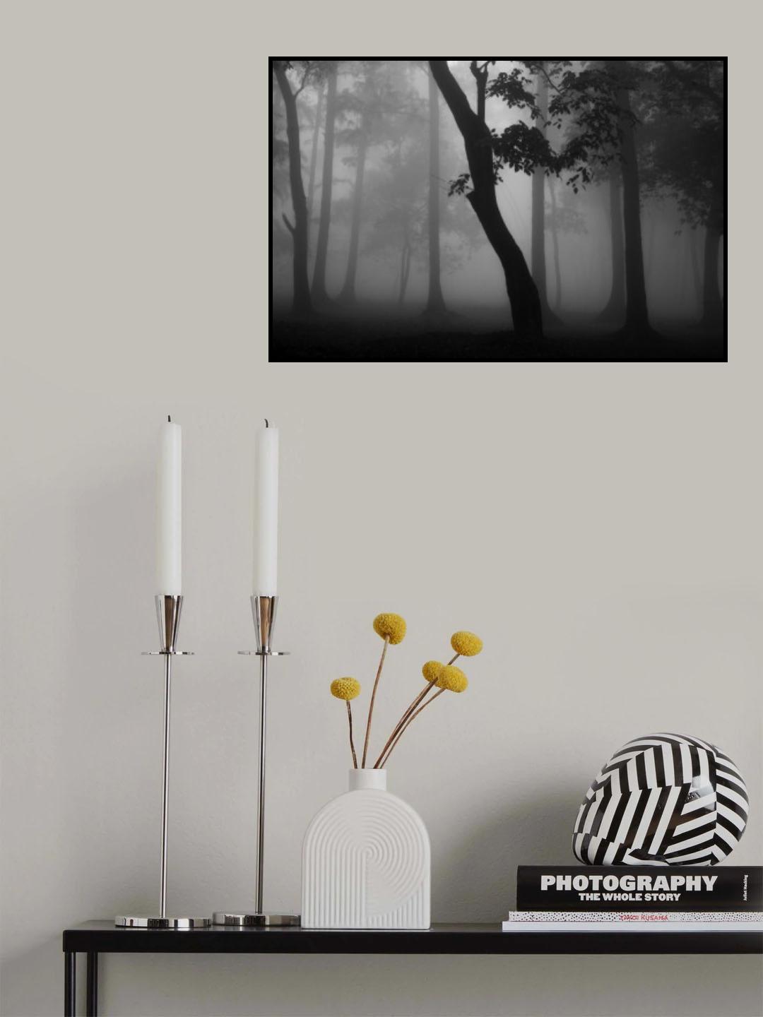 Misty forest Poster och Canvastavla