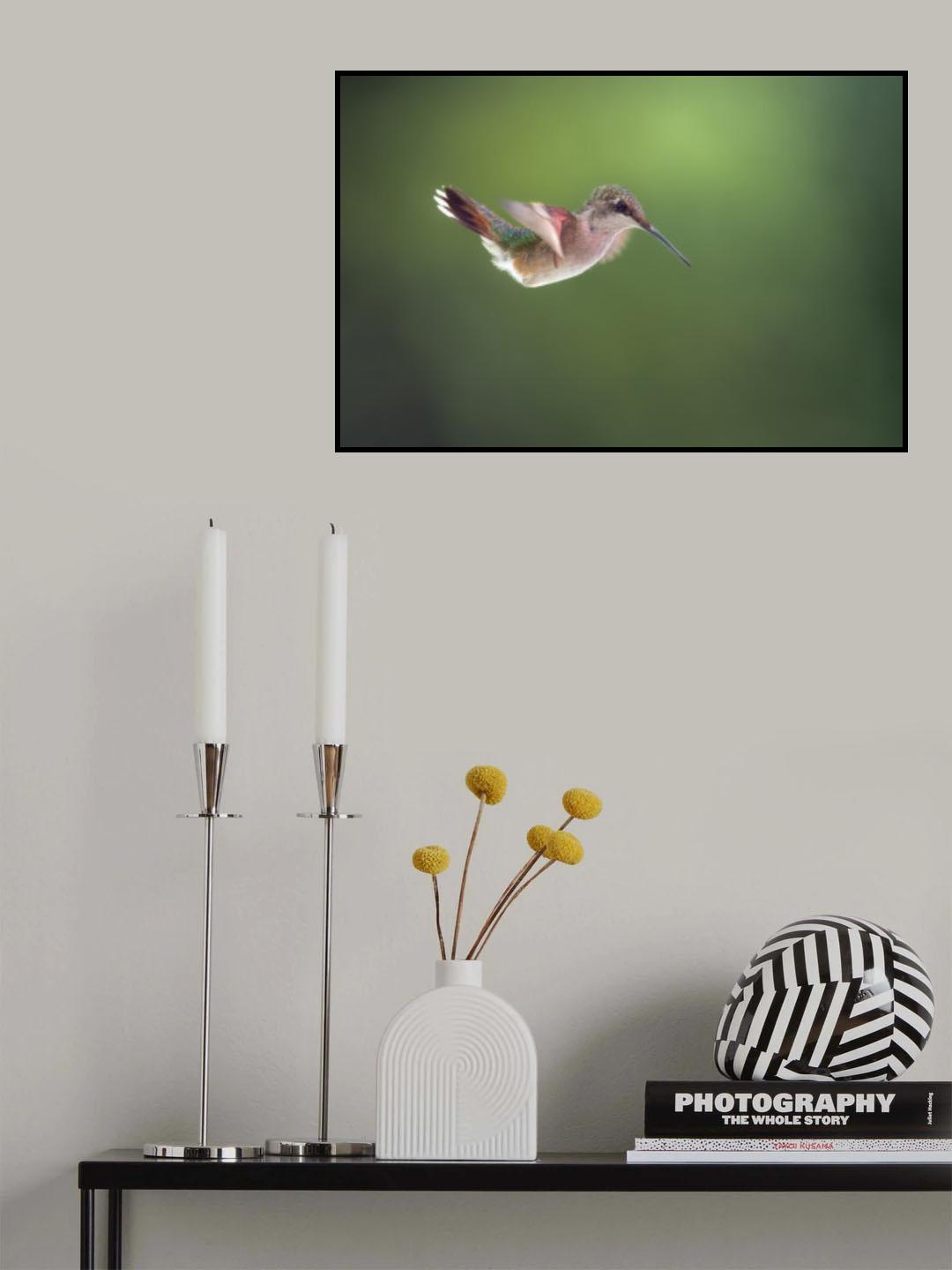 Afloat Poster och Canvastavla