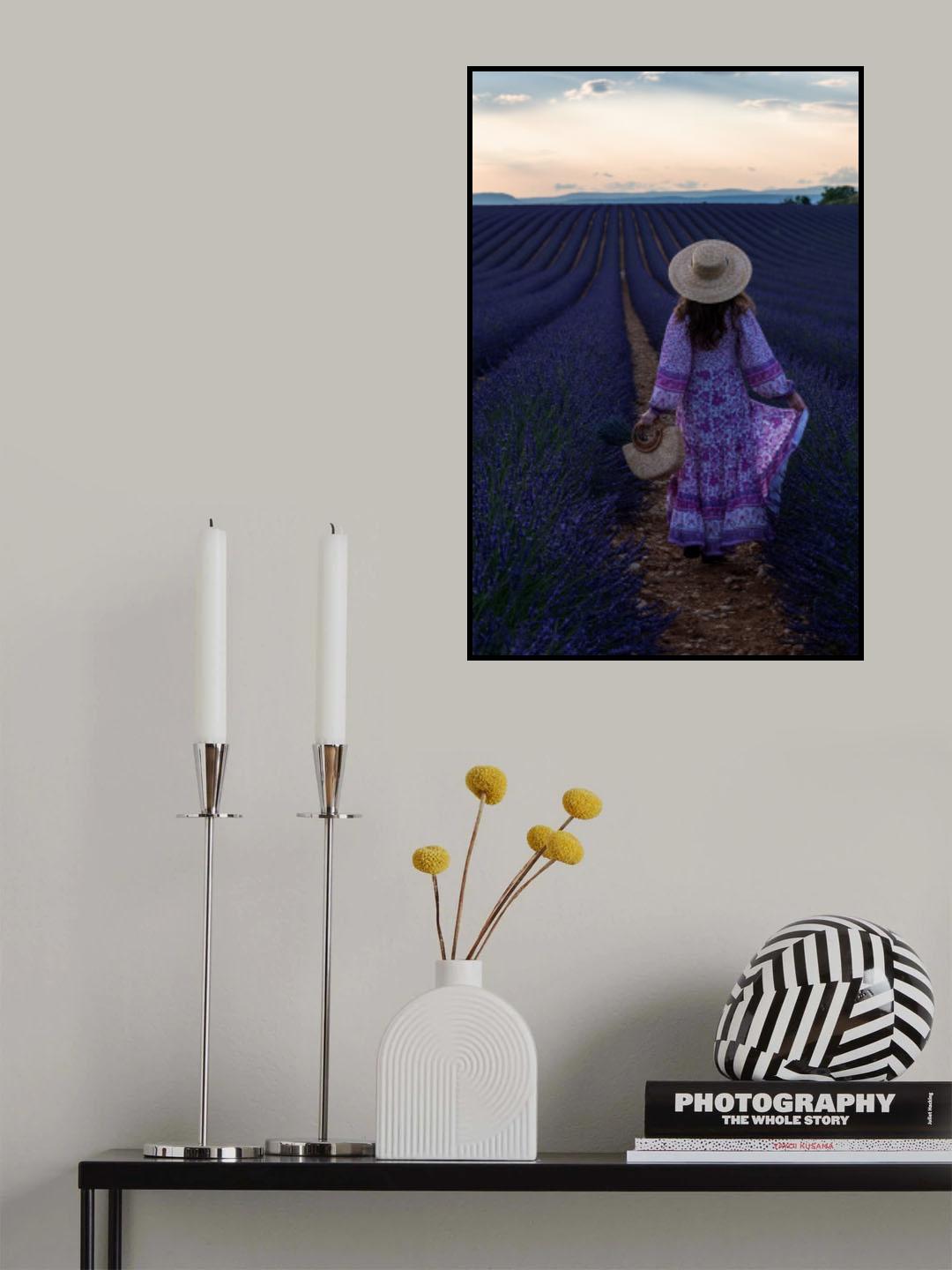 Lavender Poster och Canvastavla