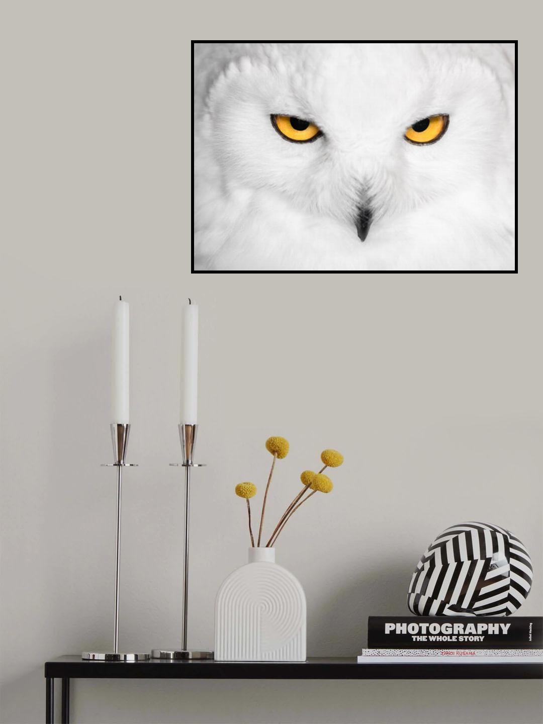 H Y P N O T I C S Poster och Canvastavla