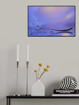 Whisper Poster och Canvastavla