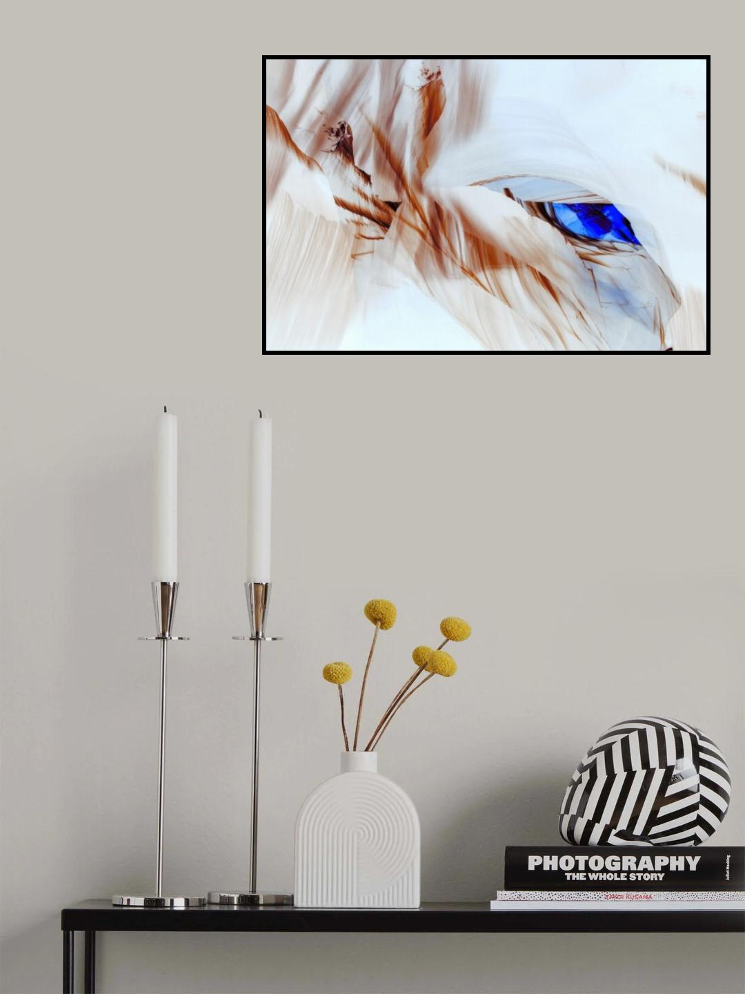 Eye of the Cougar Poster och Canvastavla
